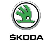 Установка на Skoda